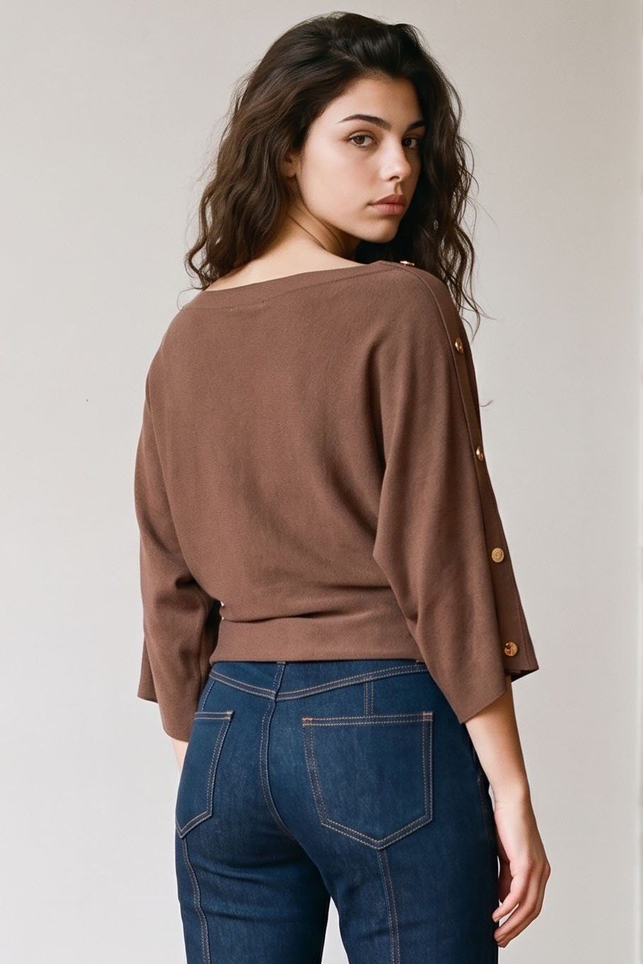 BROWN MODEL3