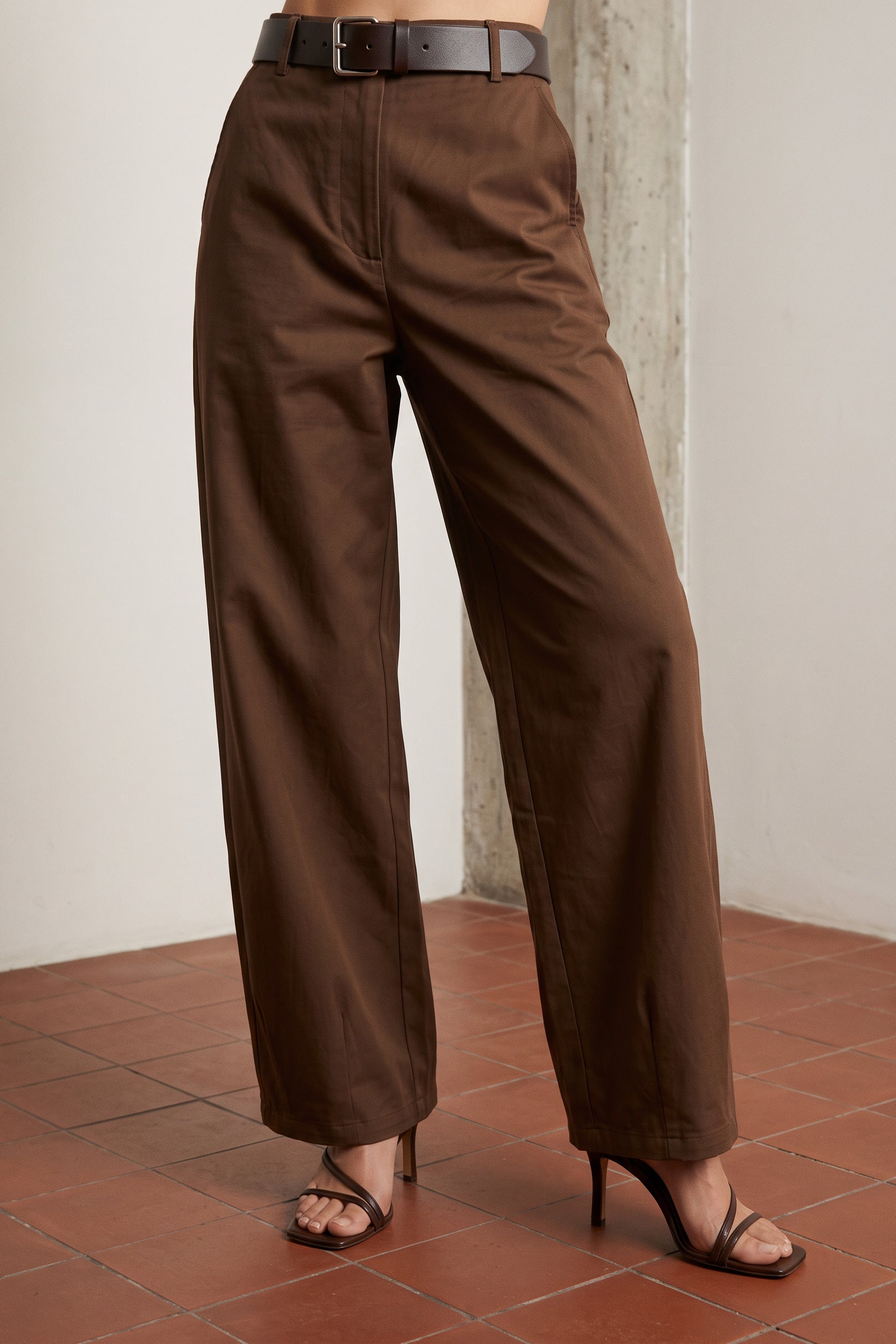 BROWN MODEL1